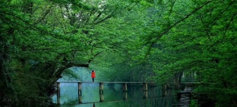 黄山之外再无美景？安徽的这些地方也一定要逛