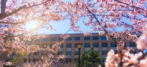 建筑师在停车场上盖了个大屋顶，大人孩子玩得不想回家