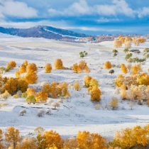 十一月最适合去北方看雪 去南方看海