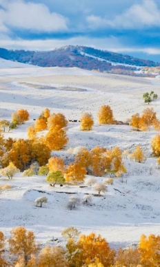 十一月最适合去北方看雪 去南方看海