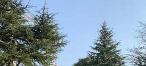 <b>运动裤减龄又chic 跟着孙娜恩穿不香吗</b>
