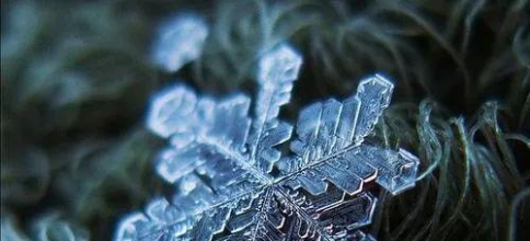 <b>外国小哥花九年时间 只为拍一朵雪花</b>