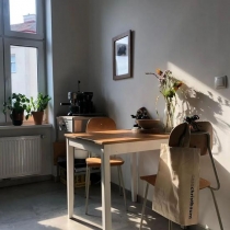 一个人住小公寓太美好 独享阳光植物和一整墙的书