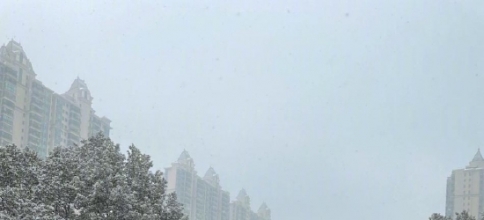 沈梦辰晒初雪美照 针织衫映衬白雪美成画报
