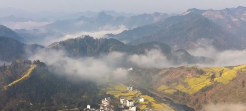 悄悄藏了3年的赏花地图 藏着刷屏到国外的绝美纯色