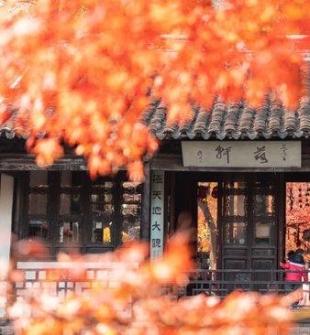 全国最“甜”的城市 是时候出圈了